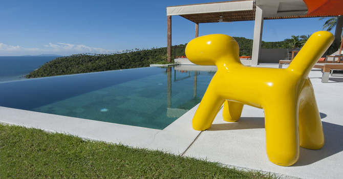 Villa Yellow Dog  